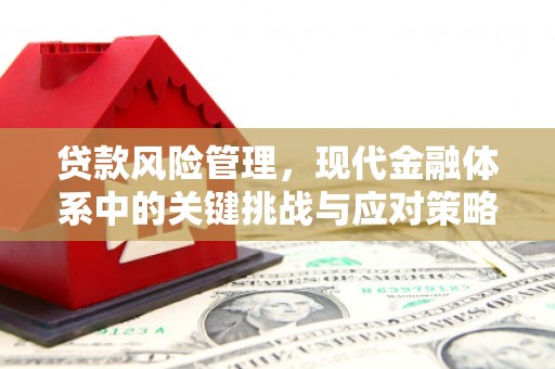 湟中贷款风险管理，现代金融体系中的关键挑战与应对策略