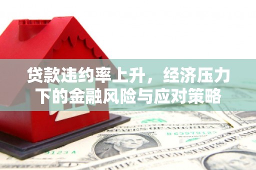湟中贷款违约率上升，经济压力下的金融风险与应对策略