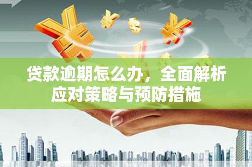 湟中贷款逾期怎么办，全面解析应对策略与预防措施