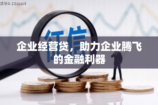 湟中企业经营贷，助力企业腾飞的金融利器