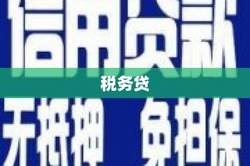 湟中税务贷
