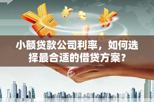 湟中小额贷款公司利率，如何选择最合适的借贷方案？