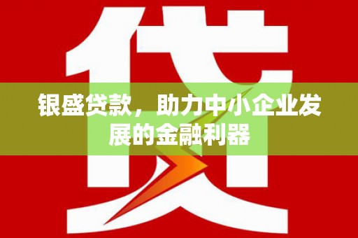 湟中银盛贷款，助力中小企业发展的金融利器
