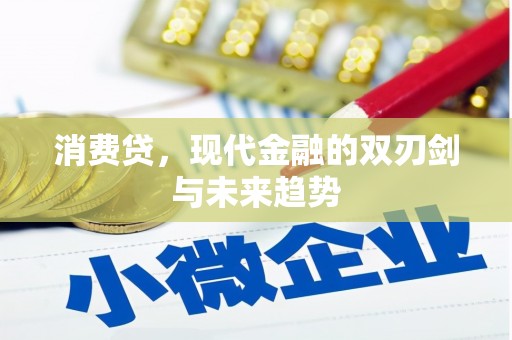 湟中消费贷，现代金融的双刃剑与未来趋势