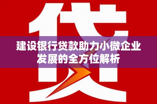 湟中建设银行贷款助力小微企业发展的全方位解析