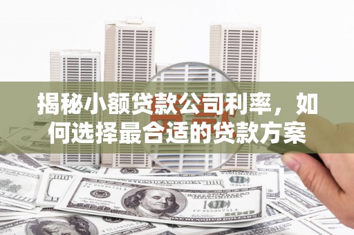 湟中揭秘小额贷款公司利率，如何选择最合适的贷款方案