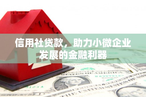 湟中信用社贷款，助力小微企业发展的金融利器