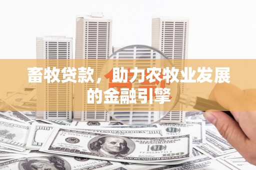 湟中畜牧贷款，助力农牧业发展的金融引擎