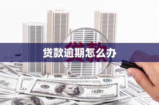 湟中贷款逾期怎么办