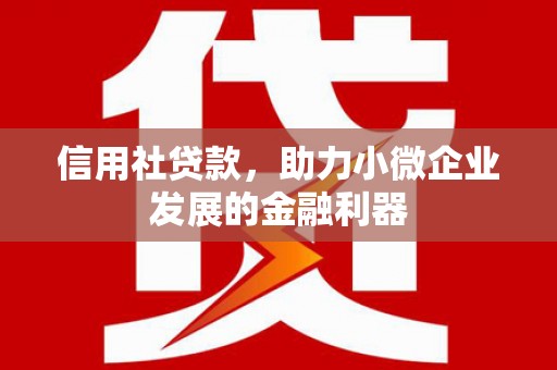 湟中信用社贷款，助力小微企业发展的金融利器