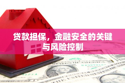 湟中贷款担保，金融安全的关键与风险控制