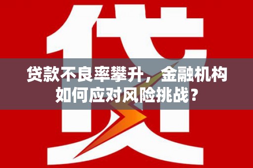 湟中贷款不良率攀升，金融机构如何应对风险挑战？