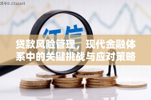 湟中贷款风险管理，现代金融体系中的关键挑战与应对策略