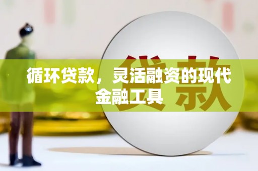 湟中循环贷款，灵活融资的现代金融工具