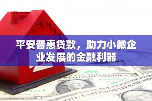 湟中平安普惠贷款，助力小微企业发展的金融利器