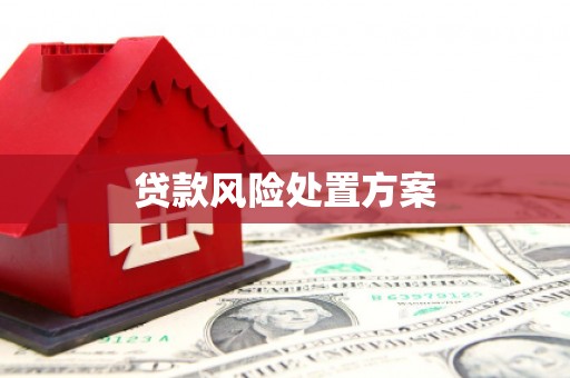 湟中贷款风险处置方案