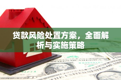 湟中贷款风险处置方案，全面解析与实施策略
