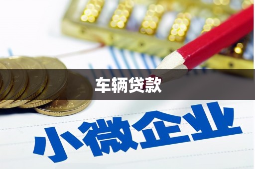 湟中车辆贷款