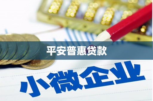 湟中平安普惠贷款